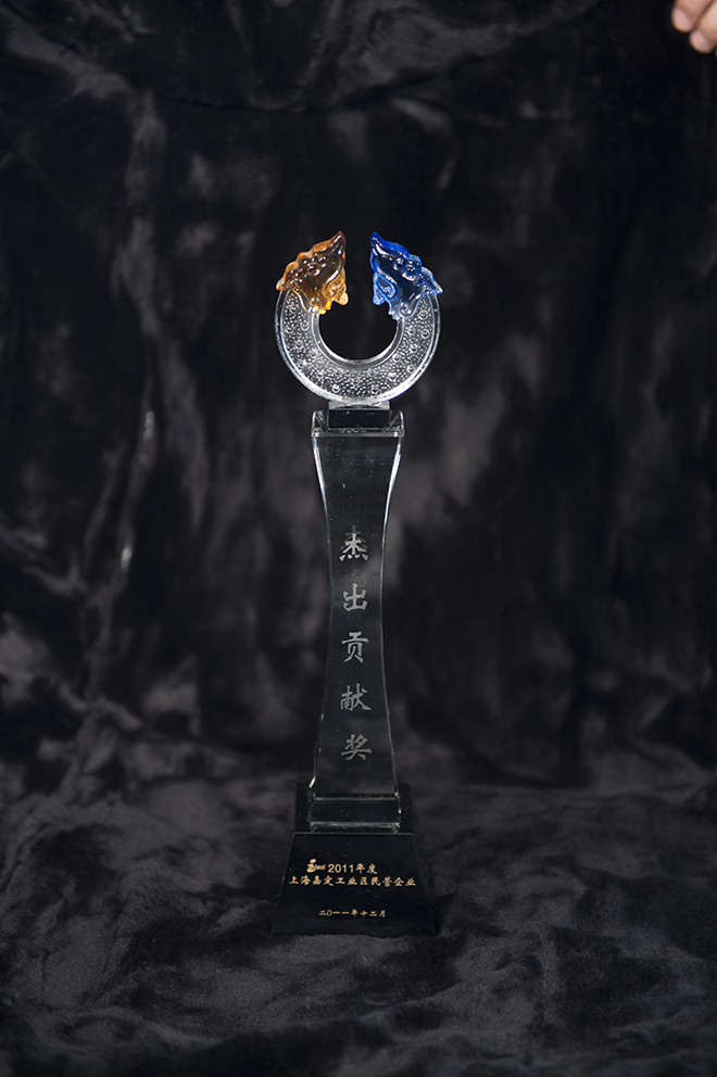 杰出貢獻(xiàn)獎